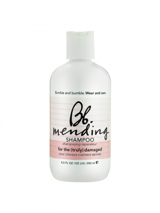 Mending Shampoo