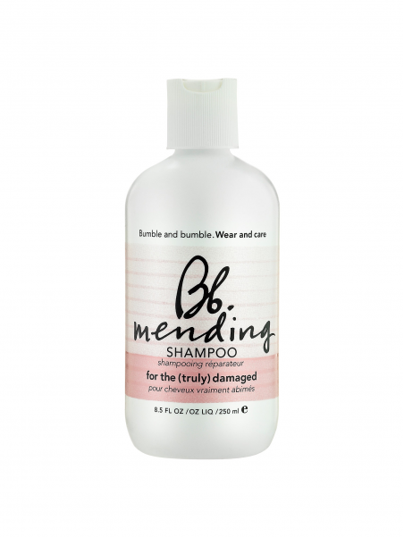 Mending Shampoo