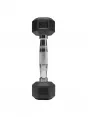 Everlast Hex Weights